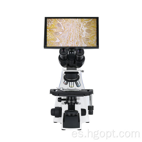 Microscopio binocular biológico con cámara de 5MP